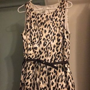 Leopard print lined A- line dress.  Hardly ever worn.  DON’T PASS up!!!!